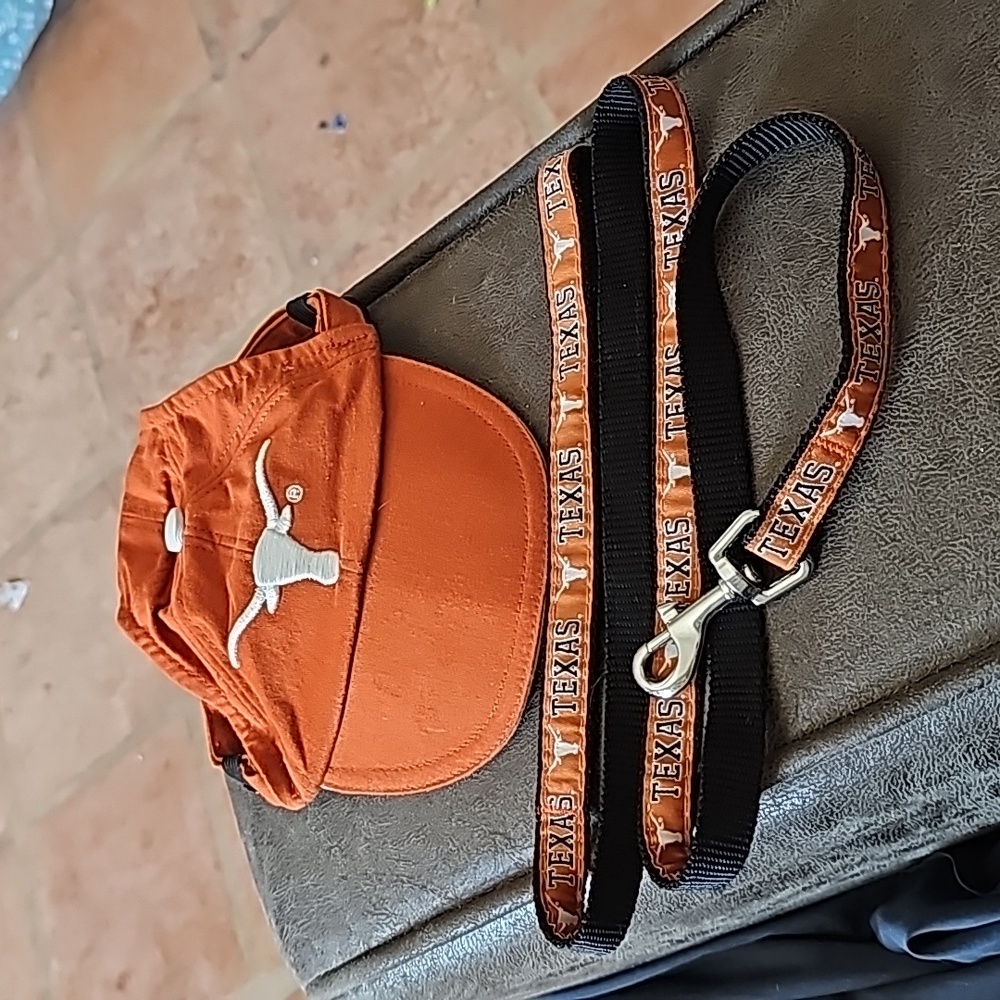 Doggy hat and leash texas longhorns